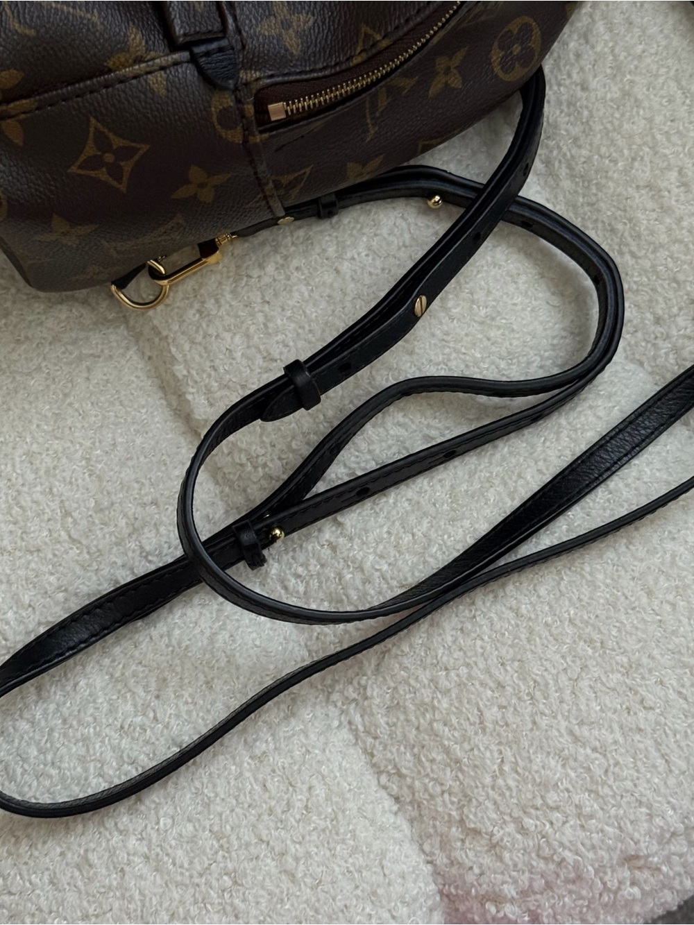Louis Vuitton Palm Springs Mini Monogram Backpack - Picture 10 of 12